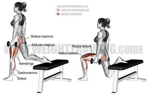 Bulgarian Split Squat With Dumbbells