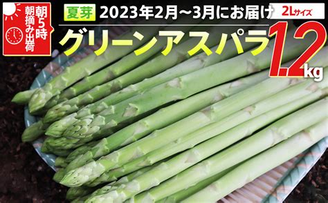 【先行予約】 朝採り直送 春芽グリーンアスパラガス（2l）12kg Bt02｜ふるラボ