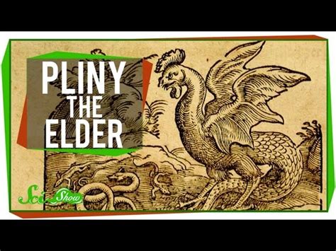 how to pronounce pliny