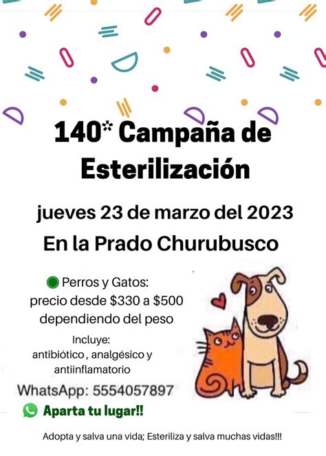 Mascotas Sismo On Twitter Rt Hela More Esterilizaci N A Bajo Costo