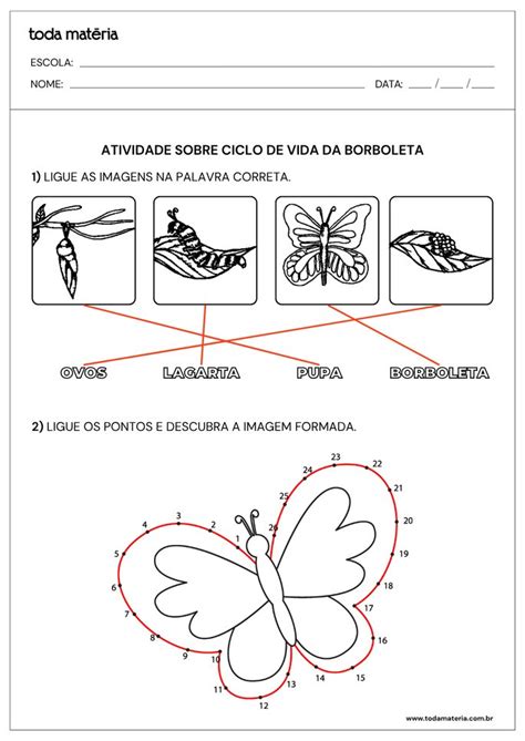 Ciclo De Vida Da Borboleta Educação Infantil - Atividades sobre o ciclo de vida da borboleta para Educação Infantil ...