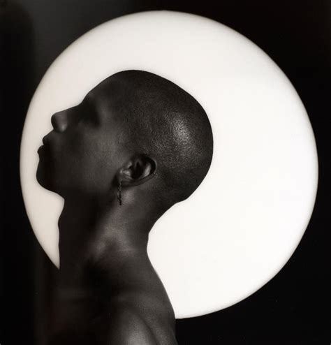 Mapplethorpe By Robert Mapplethorpe Intro By Arthur Coleman Danto For