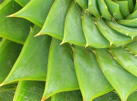 Courtesy Reach Around Porn Pictures XXX Photos Sex Images PICTOA