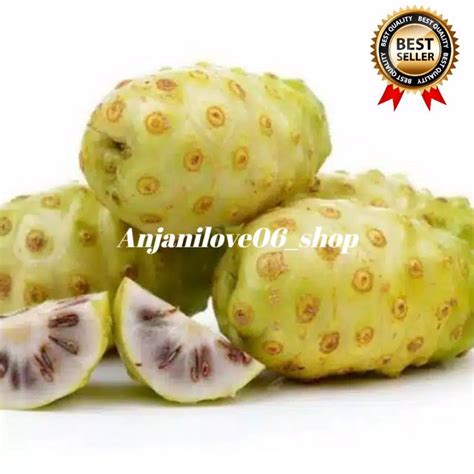 Jual Buah Mengkudu Cangkudu Segar 1 Kg Shopee Indonesia