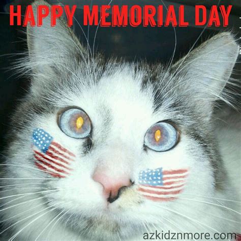 Kitty Wants To Say Happy Memorial Day Cat Quotes Funny Happy