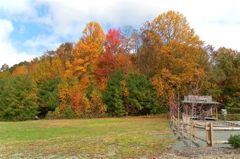 Fancy Gap / Blue Ridge Parkway KOA - Fancy Gap, Virginia US | ParkAdvisor