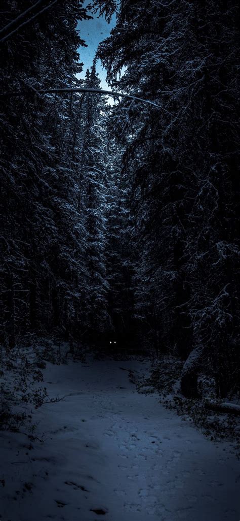 1000 Winter Wallpapers