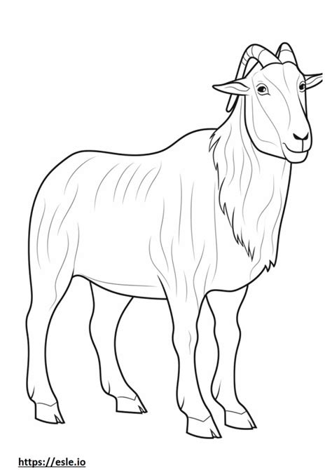 Boer Goat Coloring Pages Free Printable
