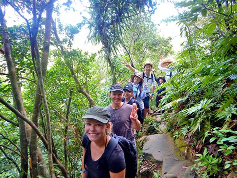 pinai (13) | 【公式】西表島カヌーツアー風車