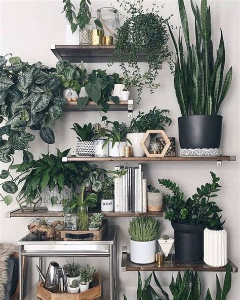 Indoor Plant Display Ideas Hot Sex Picture