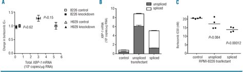 Manipulation Of XBP 1 In Myeloma Cell Lines And Effects On Bortezomib