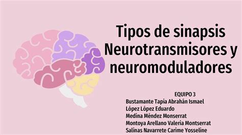 Tipos De Sinapsis Neurotransmisores Y Neuromodulad Valeria Montserrat