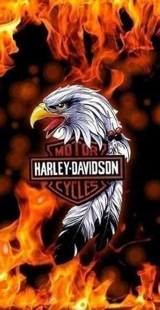 Pin By Floky On Eagle Harley Davidson Artwork Harley Davidson