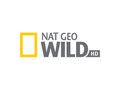 Nat Geo Wild Hd Program Tv Teraz W Tv W Interia Pl Program