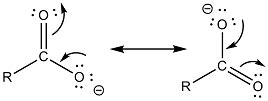 A How Carboxylate Ion Get Stabilised By Resonance Explain By The