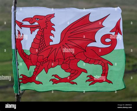 Dragon Flag Country