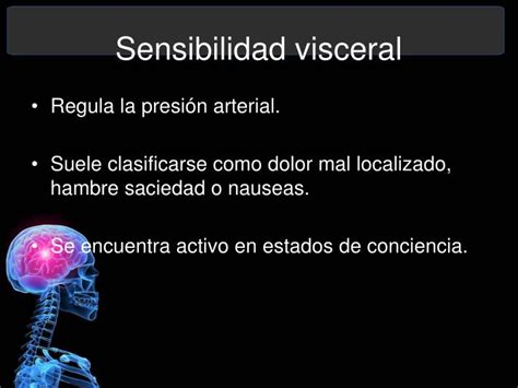 Ppt Sistema Nervioso Powerpoint Presentation Id