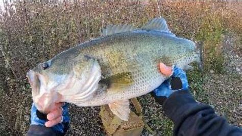 Winter Pond Bass Fishing New Pb Youtube