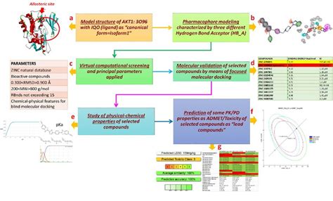 Pharmacophore Modeling Virtual Screening And Biological Evaluation