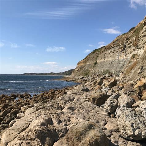 Osmington Mills Uk Fossil Collecting