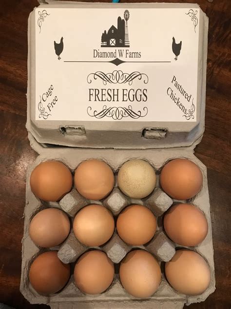 1 Dozen Eggs Diamondwfarms