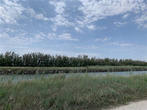 Giro Della Valli Del Delta Del Po In Bici Trekkyo Viaggi E Itinerari