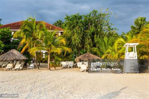 negril jamaica stock  high res pictures  images getty
