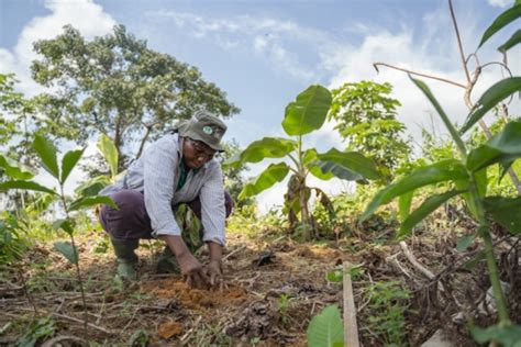 Environnement Sept Fa Ons De Restaurer Les Terres Denrayer La