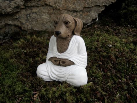 Dog Buddha Meditating Dog Concrete Dog Buddhas Zen Like Etsy