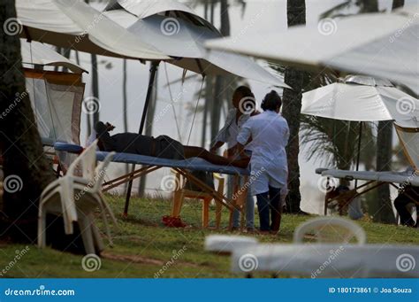 Massage In The Garden Of Alah Editorial Photo Image Of Masseur Physiotherapy 180173861