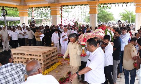 Pic Talk Chandra Babu Shoulders Ramoji Rao S Body