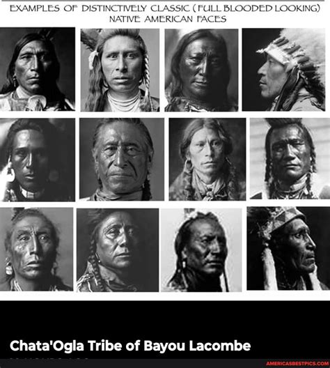examples  distinctively classic full blooded  native
