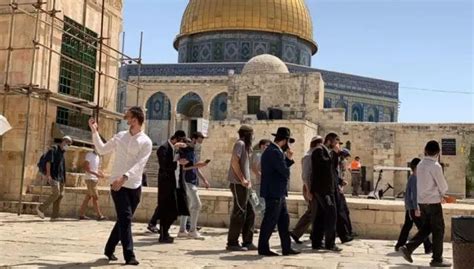 Lakukan Tour Provokasi Masjid Al Aqsa Kembali Diserbuh Pemukim Yahudi