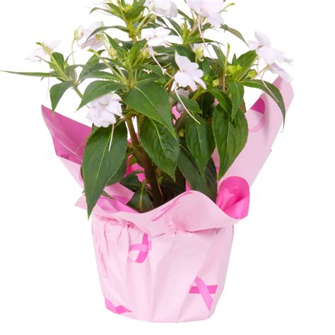 Pink Ribbon A Roo Company