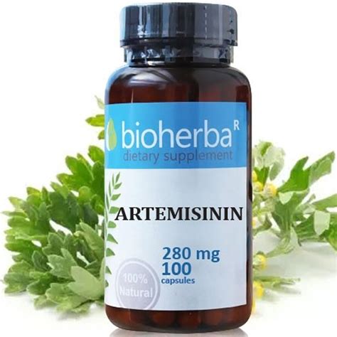 Artemisinin Slatki Pelin Natural Mg Caps Bioherba