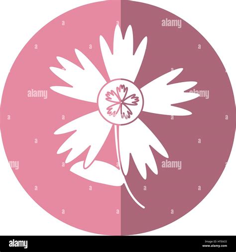 Flower Spring Natural Shadow Stock Vector Image And Art Alamy