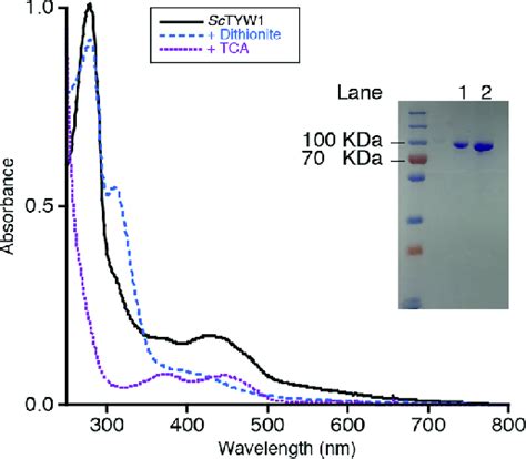 Ultraviolet−visible Spectra And A 12 Sodium Dodecyl Download Scientific Diagram