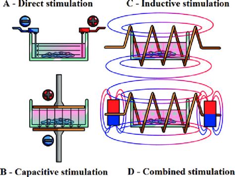 The Four Main Techniques Of Delivering Electrical Stimulation The