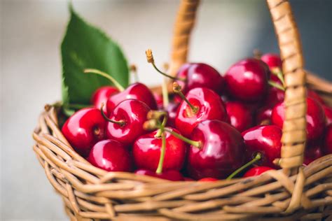 The Top Ten Poisonous Fruits | Cookist.com