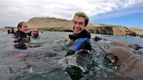 Puerto Madryn Hour Snorkeling Trip With Sea Lions