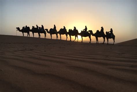 Merzouga Camel Trekking Morocco Tours Agency