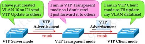 Ccna Training Vlan Trunking Protocol Vtp Tutorial