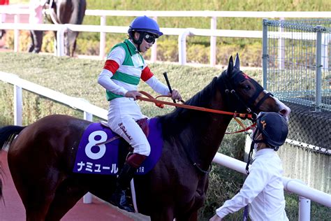 【新谷の日曜競馬コラム・エリザベス女王杯】 日刊ゲンダイ競馬