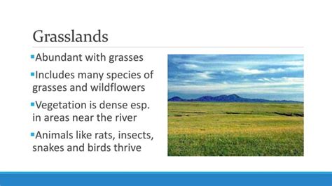 Unit 5 Lesson 55 Major Ecosystems And Resources In The Philippines