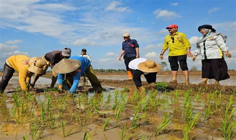 Kementan Berencana Gunakan Tekhnologi Pompanisasi Untuk Meningkatkan