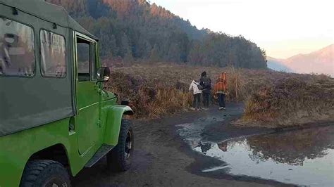 Dampak Kebakaran Savana Bromo | Plankton Tour and Travel