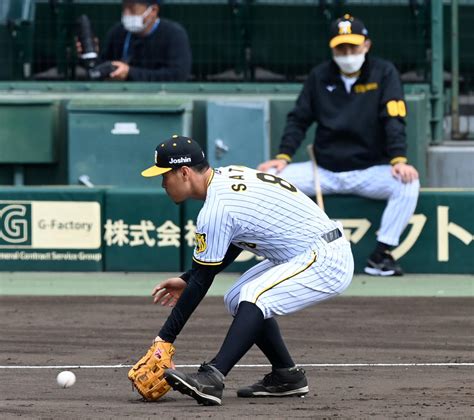 【阪神】佐藤輝明「“アレ”目指して頑張りたい」侍ジャパン強化試合へ向け「結果出すしかない」 プロ野球写真ニュース 日刊スポーツ