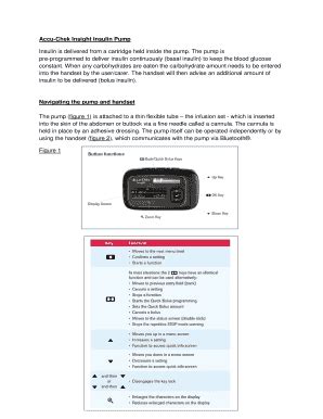 Fillable Online Accu Chek Insight Insulin Pump Fax Email Print PdfFiller