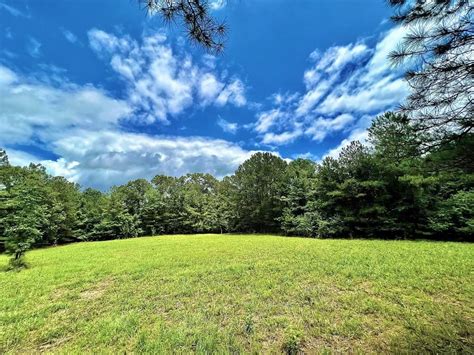 Butler Taylor County Ga Recreational Property Undeveloped Land For