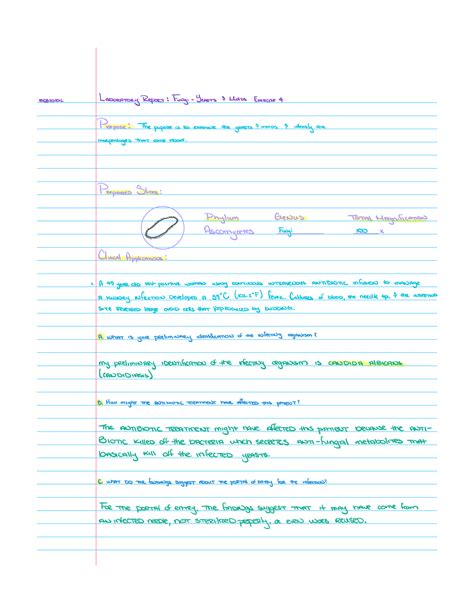 Laboratory Report Fungi Yeastsmolds Exercise 4 320102